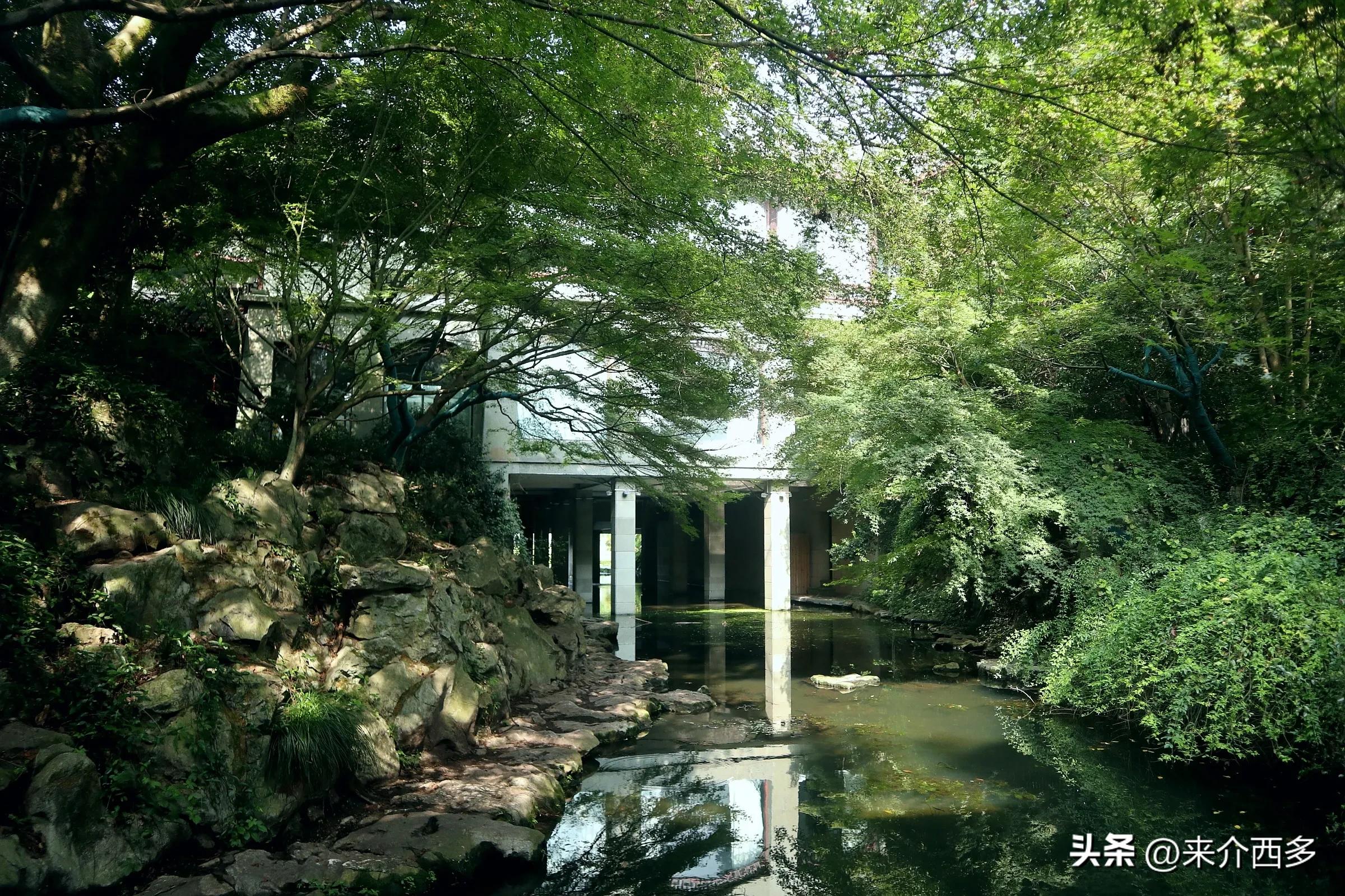 柳浪闻莺,柳浪闻莺电影完整版