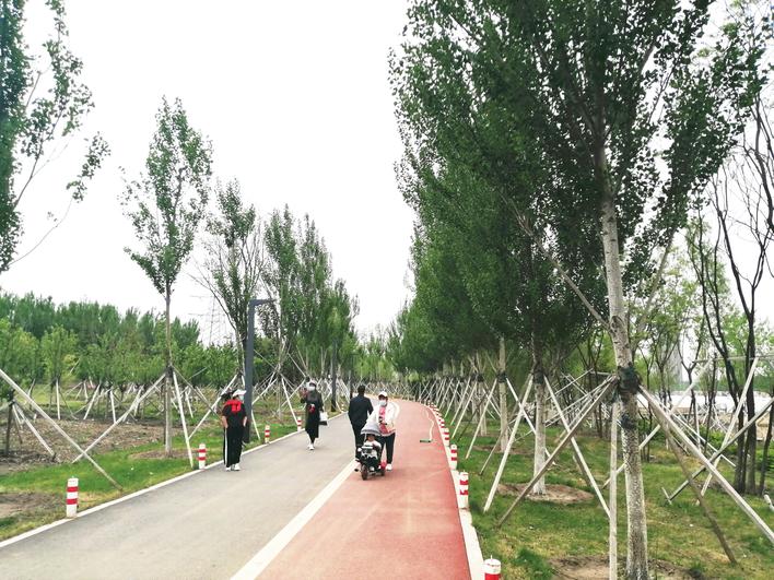 西子湖畔网红打卡点,夜景西湖网红打卡地