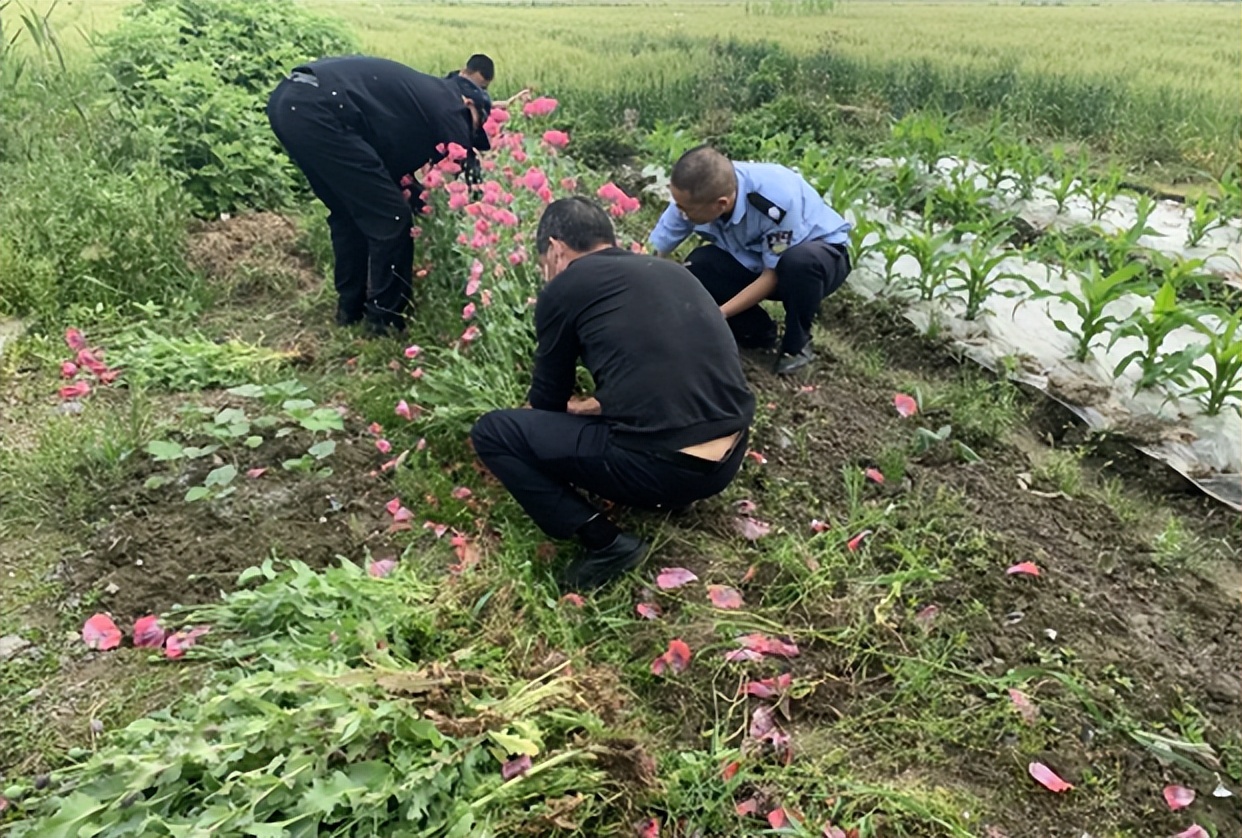 银河系中心超大质量黑洞首张照片,银河系中心黑洞的首张照片揭晓