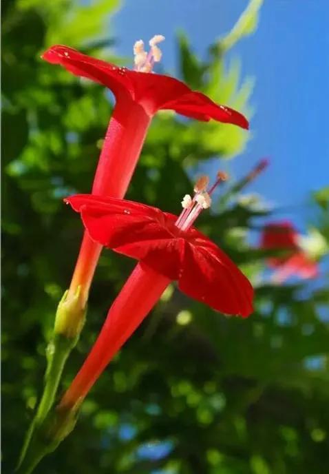 回眸岁月，慢步风雪中