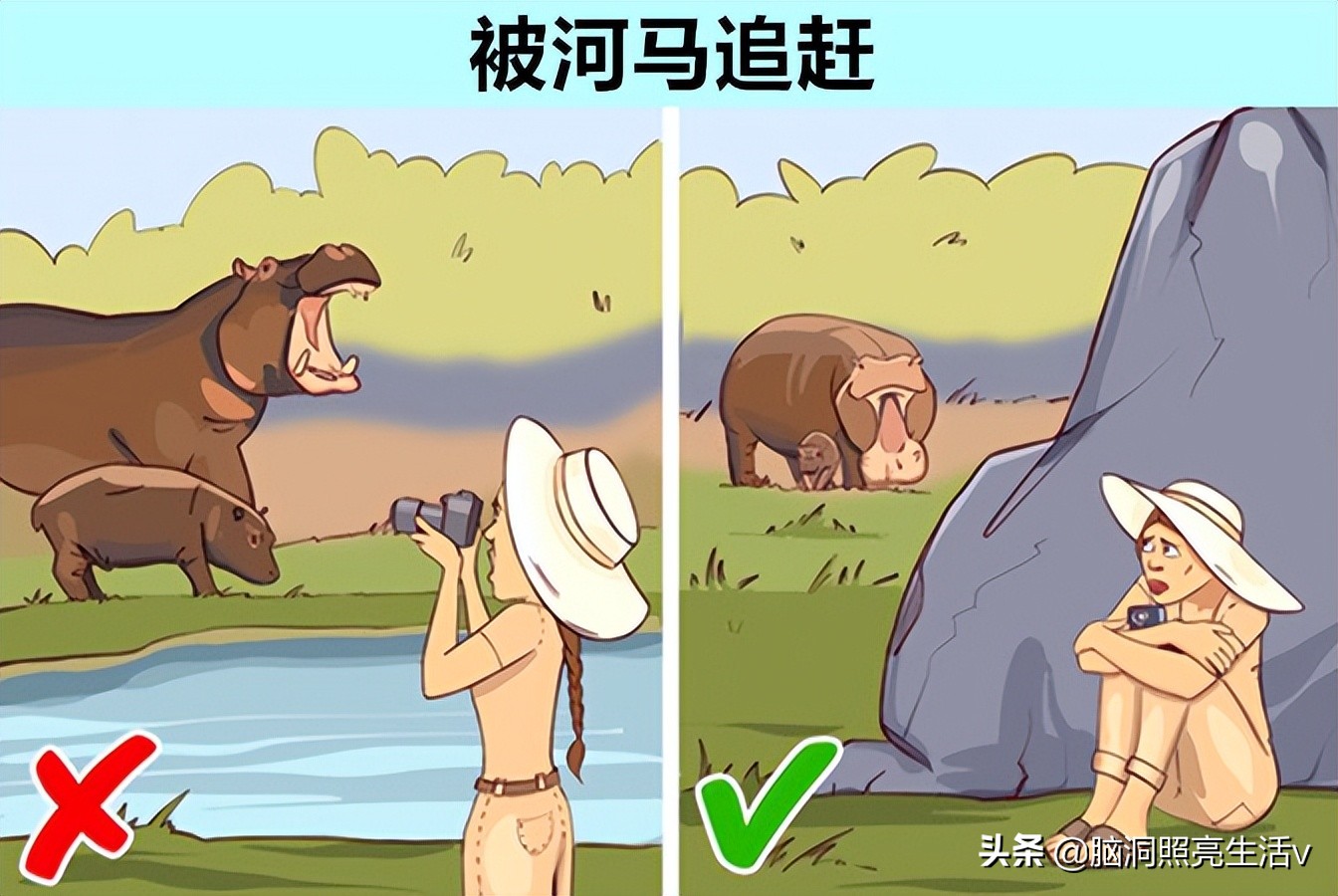 遇危险自救小技巧,在电梯上遇到了危险应该怎么自救