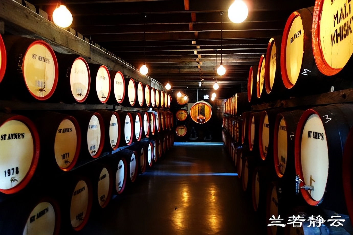 澳洲·墨尔本：到酒庄免费品酒，付5澳元到樱桃园吃到撑