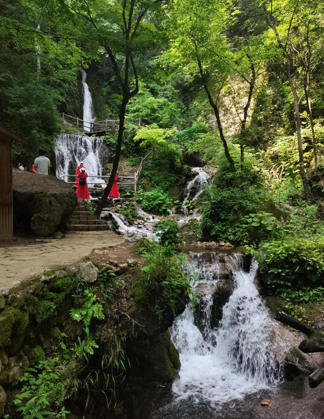 重渡沟音乐完整版,重渡沟菩提树