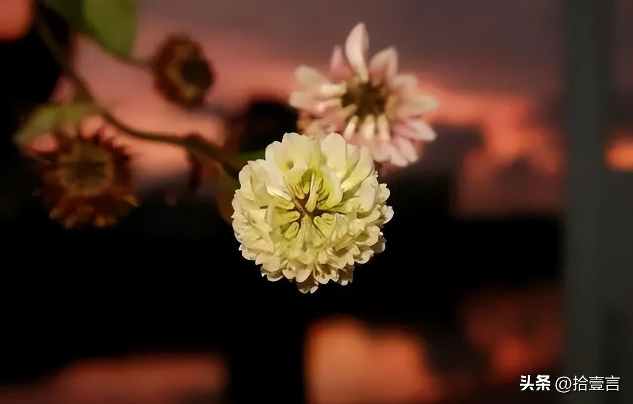 被人算计时应该做好哪些事,被人算计了要怎么防范才好