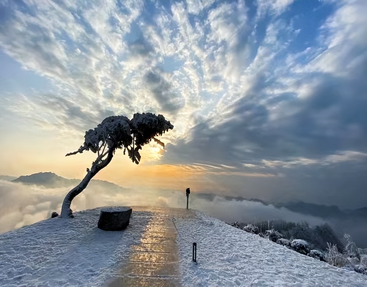 文旅招商政策,文旅景区运营招商方案