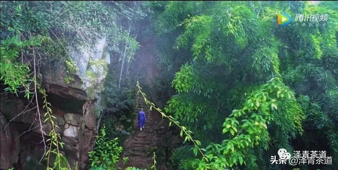 中国著名十大名茶排名,中国十大名茶哪几种最出名
