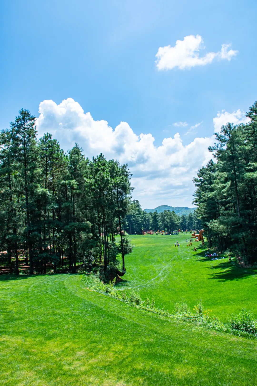 昆明五一露营建议去哪玩,昆明周边郊游露营