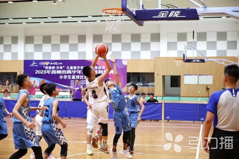 苏州区域篮球联赛,苏州全场篮球