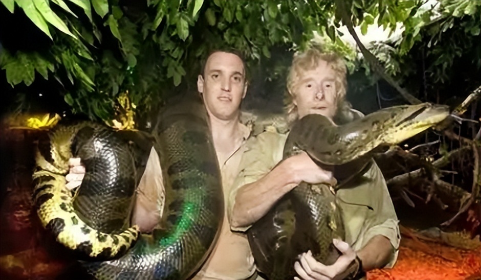 泰坦蟒是不是泰坦巨蛇,纪录片巨蛇之谜泰坦蟒
