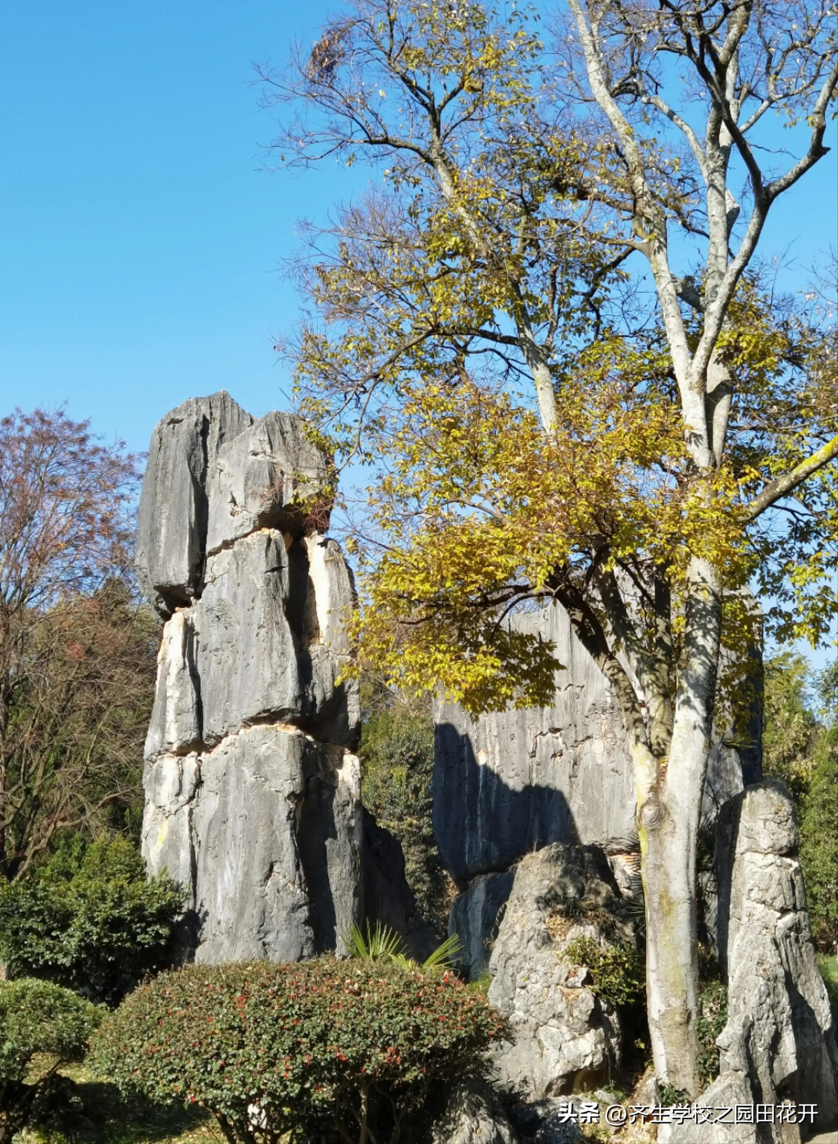 庭院假山别墅花园视频,庭院花园设计实景图凉亭假山鱼池
