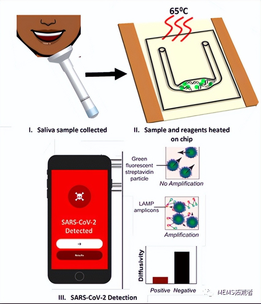 新冠病毒poct快检,新冠病毒快速检测芯片