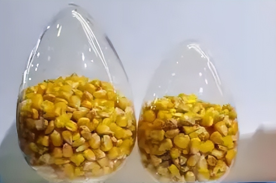 西安农高会最新报道,西安农高会活动