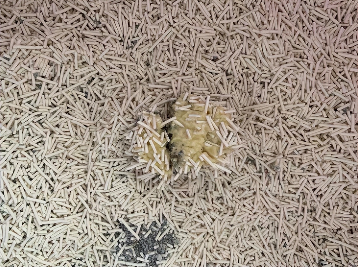 喵18猫砂怎么样,猫测评猫粮