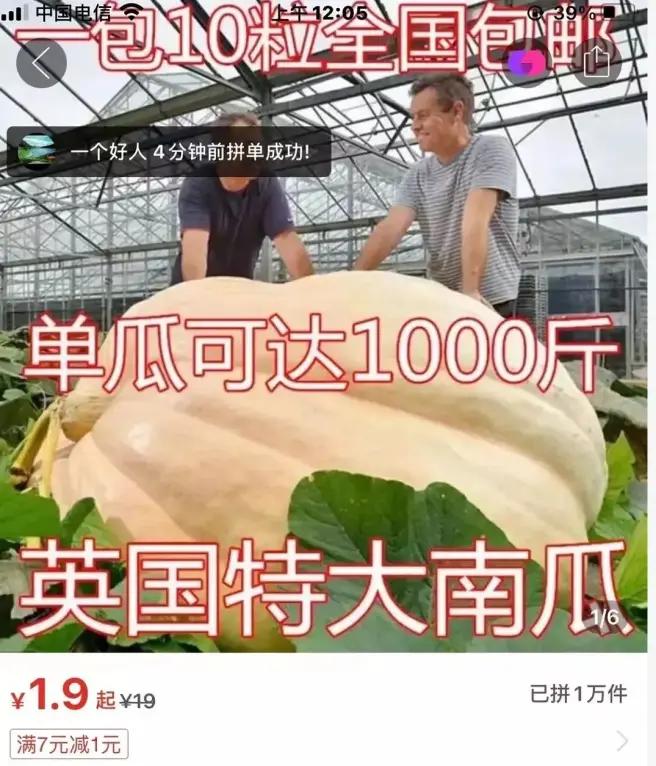 拼多多举报淘宝事件,拼多多盗用淘宝图会被投诉吗