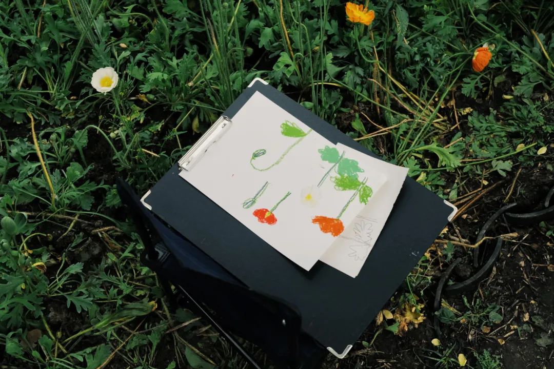 春天的潺潺溪水,春天的顶流