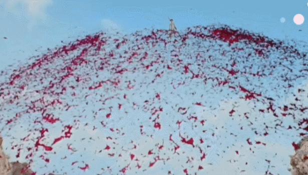 走红的尽头是黑历史