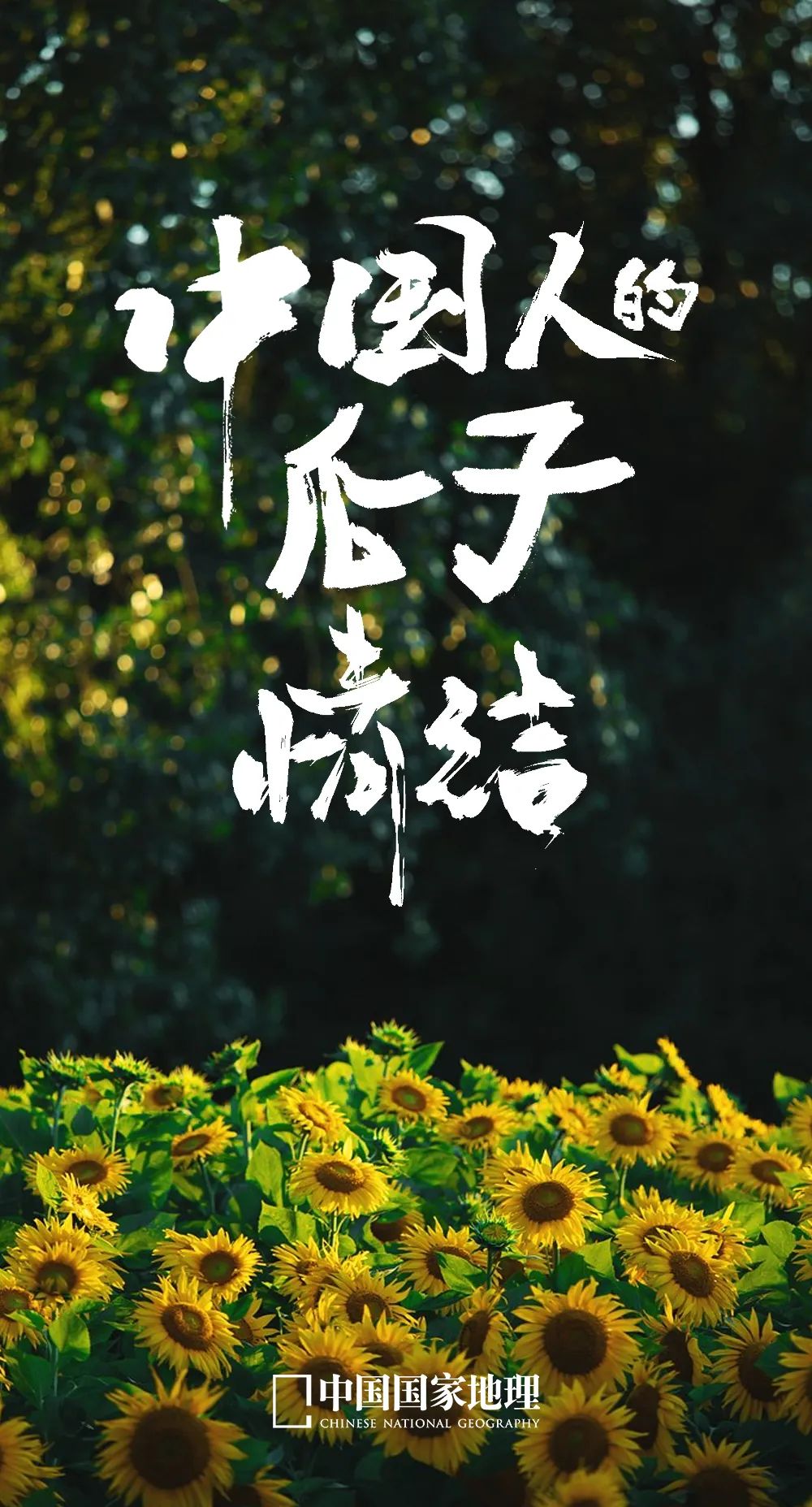 中国味儿,恰似那把瓜子