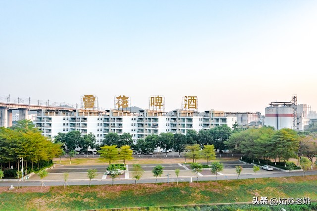 中国名牌雪花啤酒,雪花啤酒国内销量排名第一