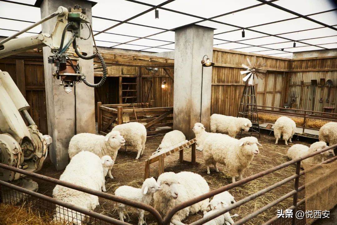 成都skp新店开业,成都skp开业最新时间