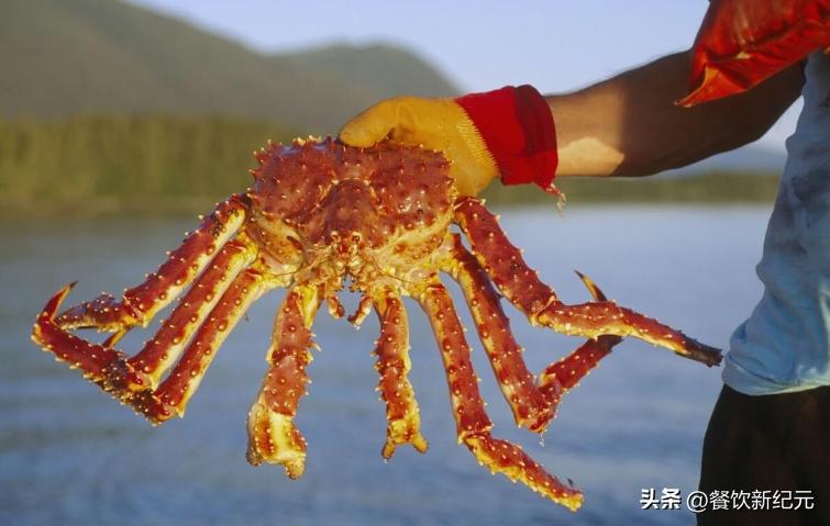 全球十大顶级海鲜排名最新,十大世界公认顶级海鲜