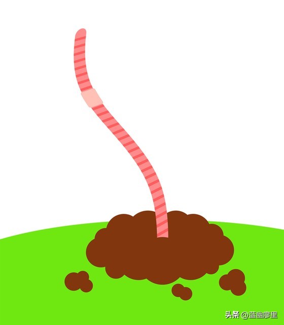 看到虾为什么怕虫子,蚯蚓可以避虾吗