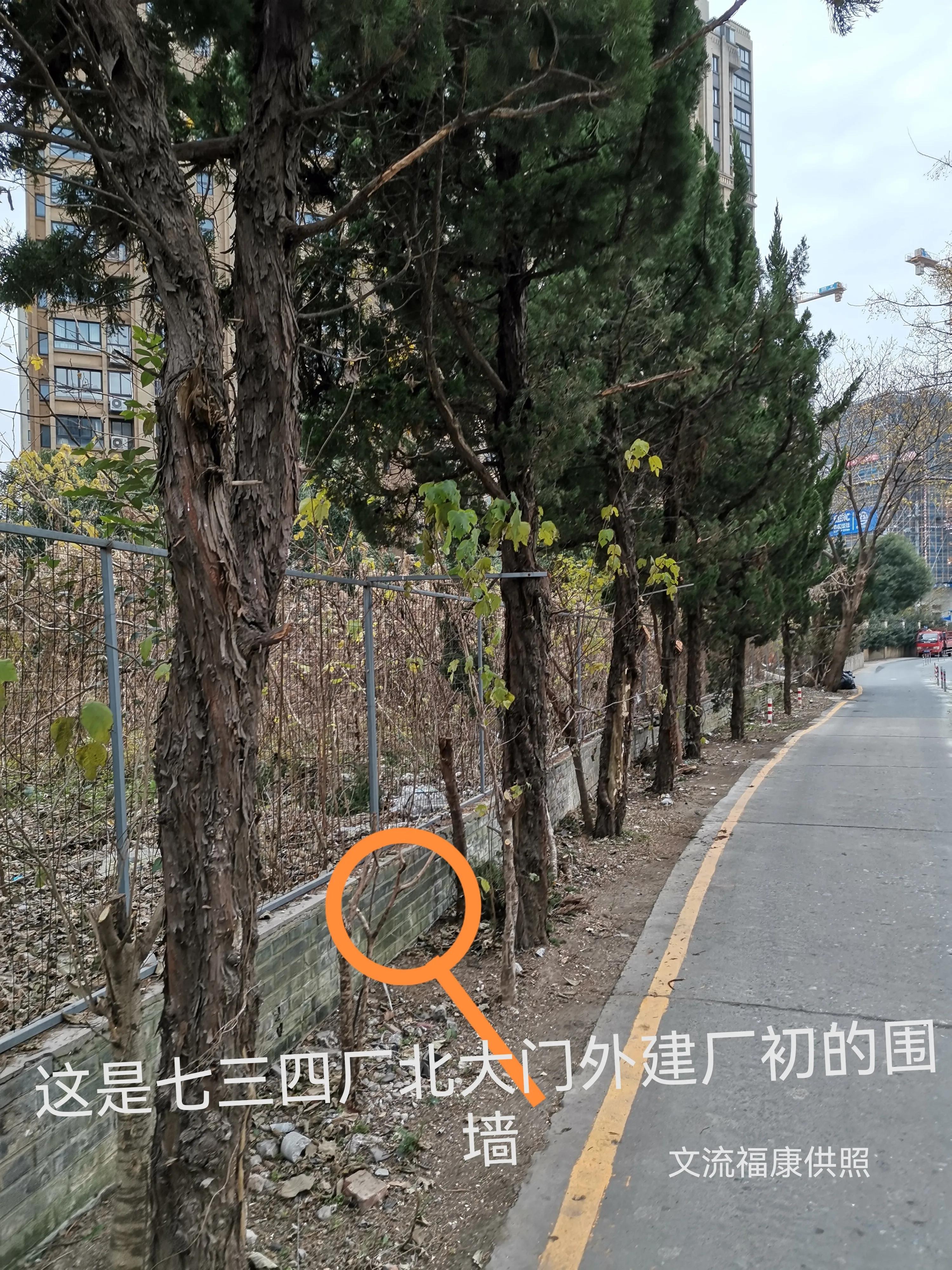 记忆里的南京七三四厂绿化景观