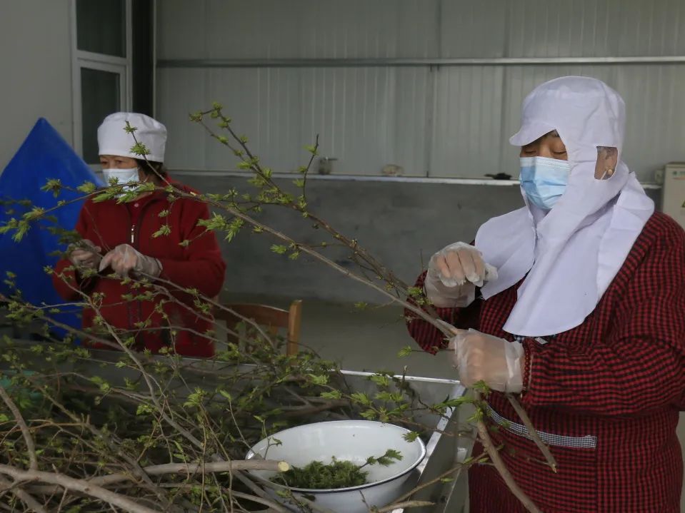 小产业带动乡村振兴大步伐,产业扶贫助力乡村振兴