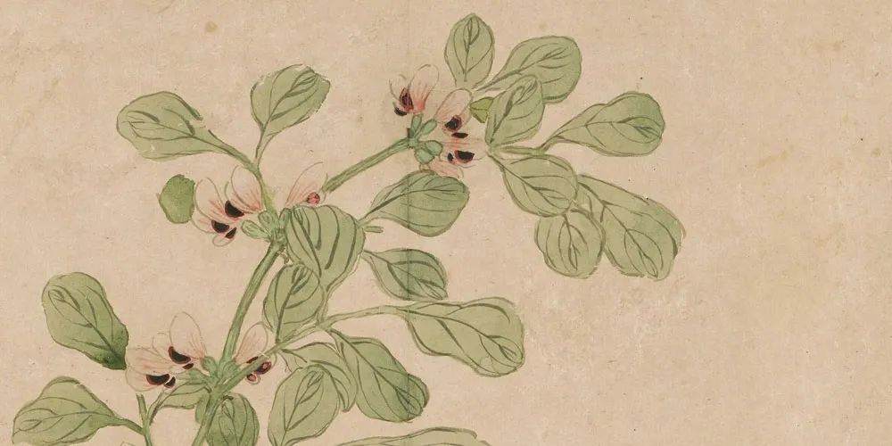 历史上最厉害的女诗人,历史上最具正能量的女诗人