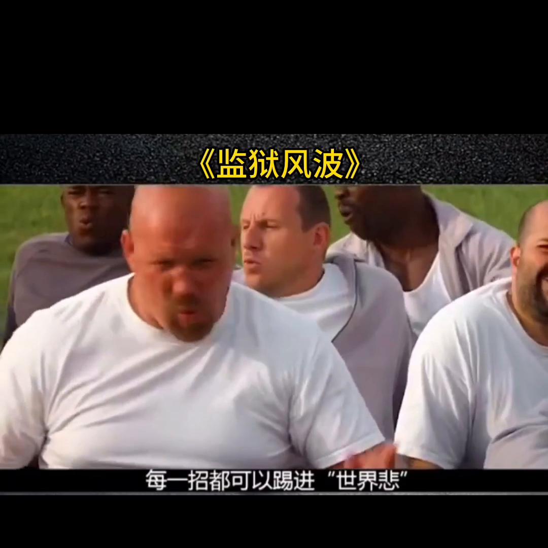 每日推荐电影解说,每日推荐电影大全免费