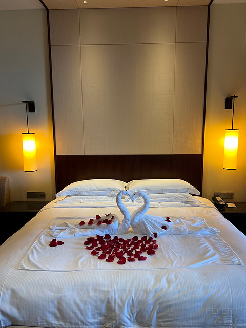 三亚万豪亚龙湾度假酒店入住,亚龙湾希尔顿度假酒店占地面积