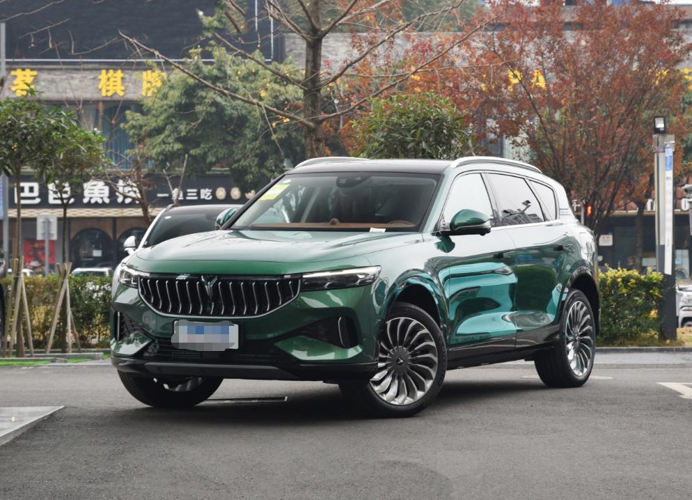 10万预算买家用车这4款都不错,纯电SUV哪款车最值得购买