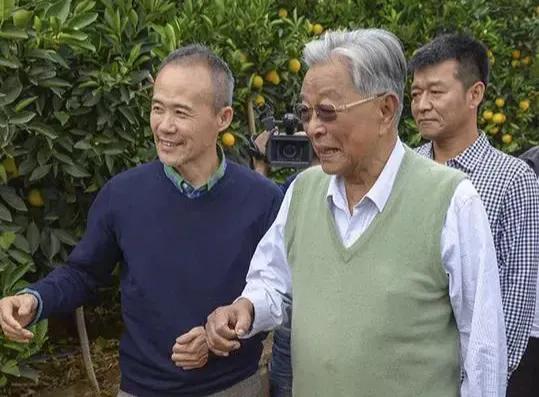 橙王怎么形成的,橙王是什么