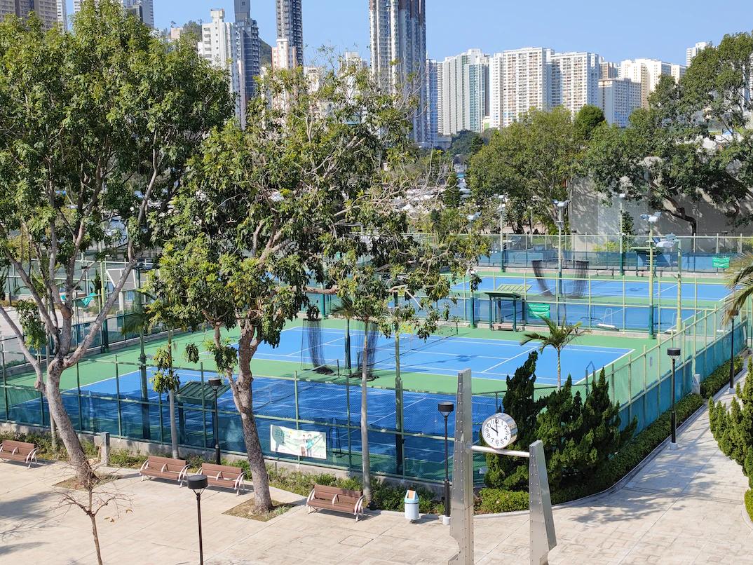 香港移民有哪些优惠政策,每年有多少人申请香港移民