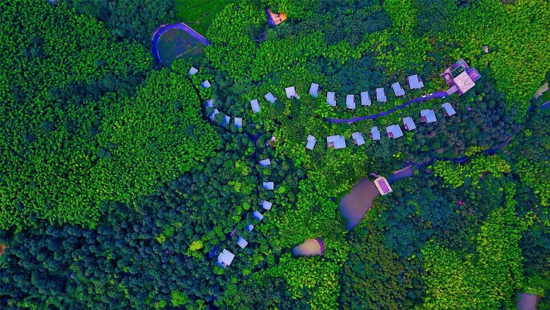 浙江小众海边旅游民宿,暑期必去度假民宿