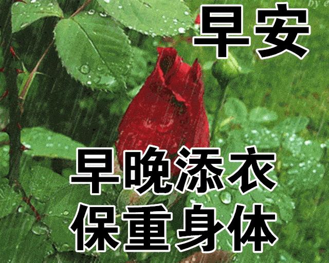 周五问候祝福动态表情图片大全，做一个善良的人，做快乐的自己