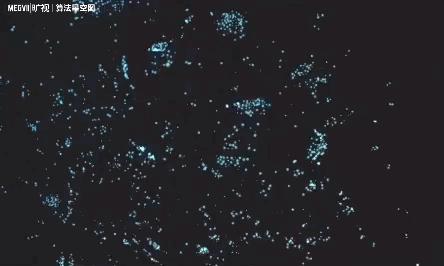 旷视运动算法,旷视智慧新技术