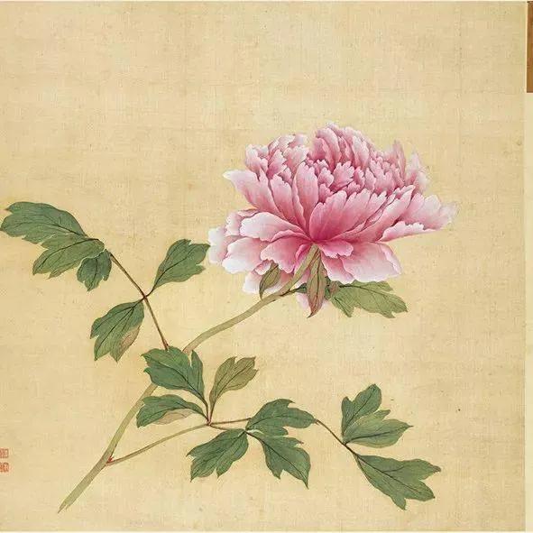 蒋廷锡牡丹画法,蒋廷锡百种牡丹画法