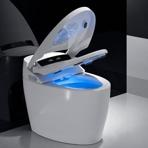 智能马桶不冲水小窍门,智能马桶的十大忠告