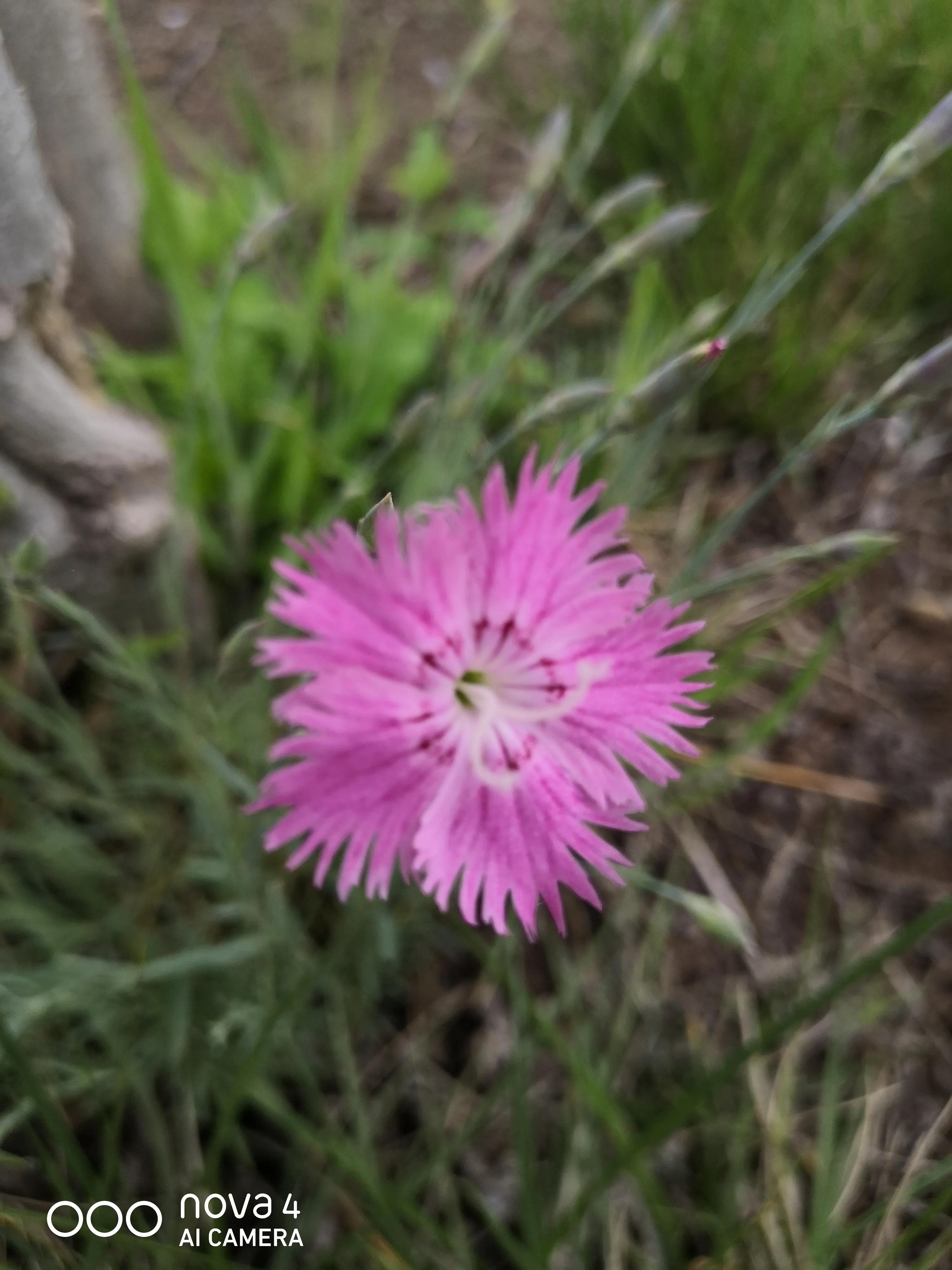 万能写作模板微头条,微头条写作套用公式