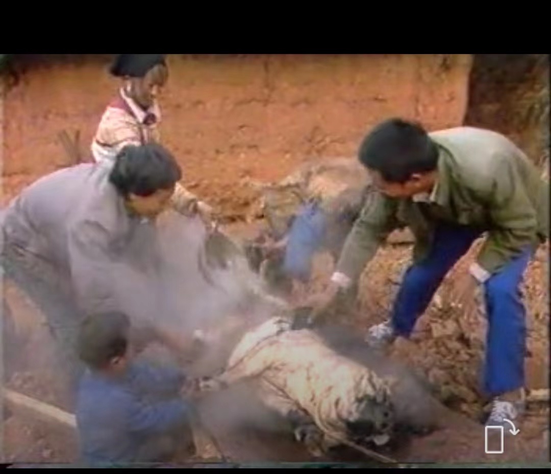 德昌傈僳族的风俗,德昌傈僳族之服饰文化