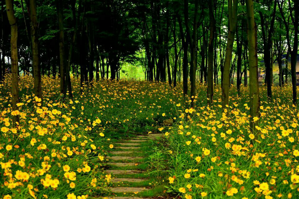 十大田园诗词排行榜,孟浩然过故人庄全诗欣赏