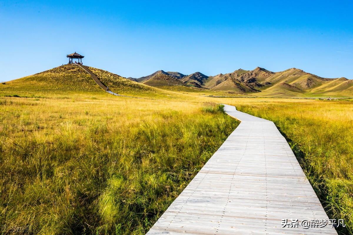 赛里木湖疆内户籍免费吗,赛里木湖疆内旅游团