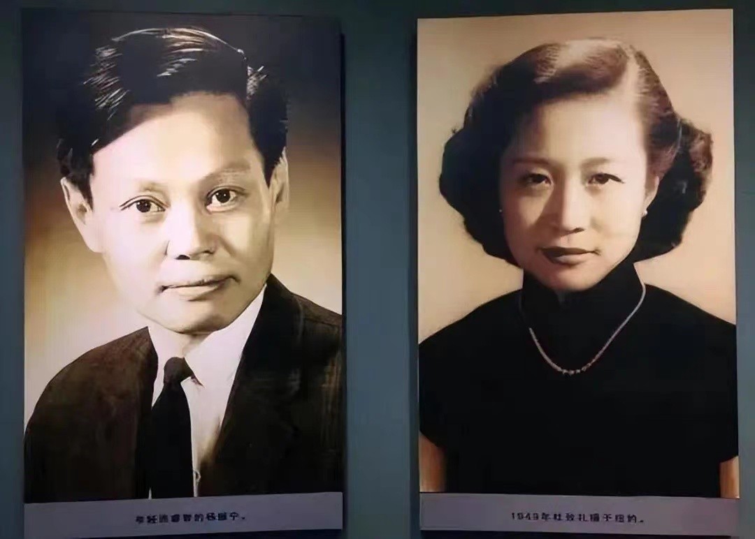 97岁杨振宁与43岁翁帆近照曝光,102岁杨振宁财产多少