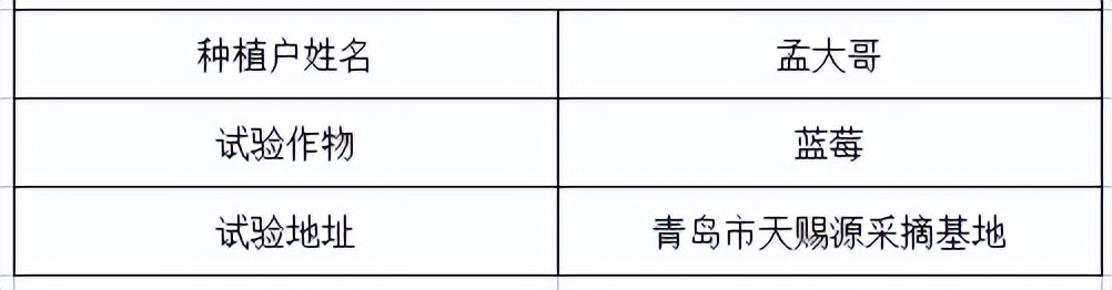 蓝莓大果哪个品种早熟,蓝莓大果新品种