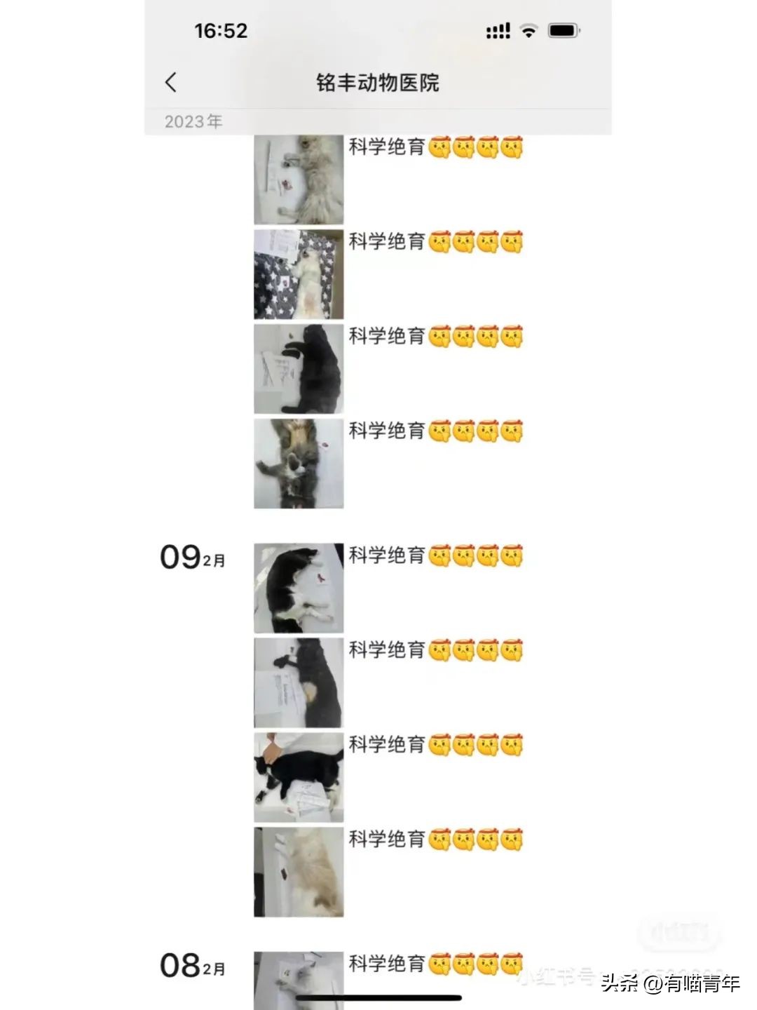 公猫出去一天一夜了都没回家,公猫出去三天没回来了