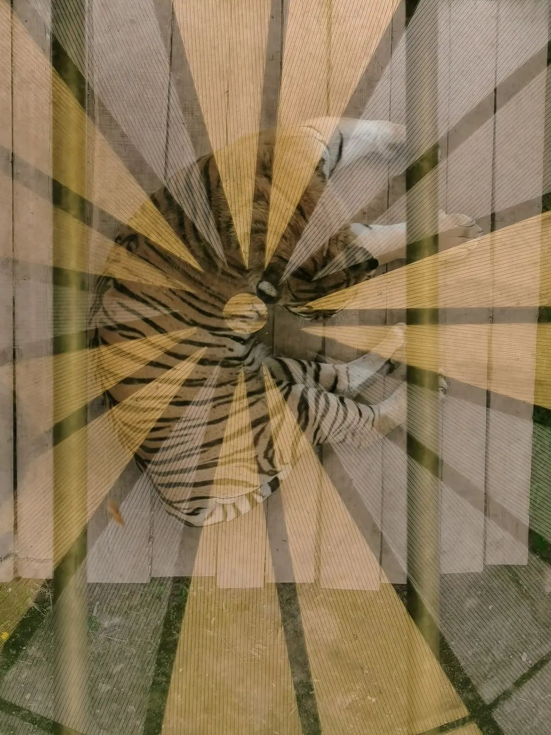 用AI绘图给黑龙江夏季避暑旅游，做几件“事件营销”