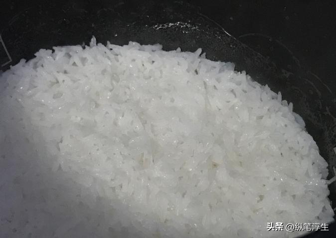 日立最新款电饭煲,日立电饭锅系列