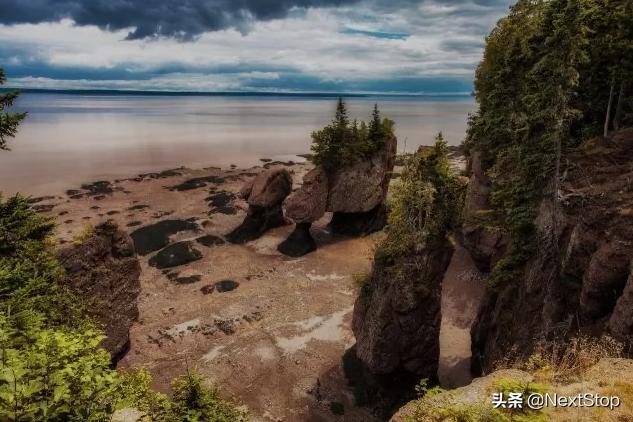 世界水温最高的海,世界最大海潮视频