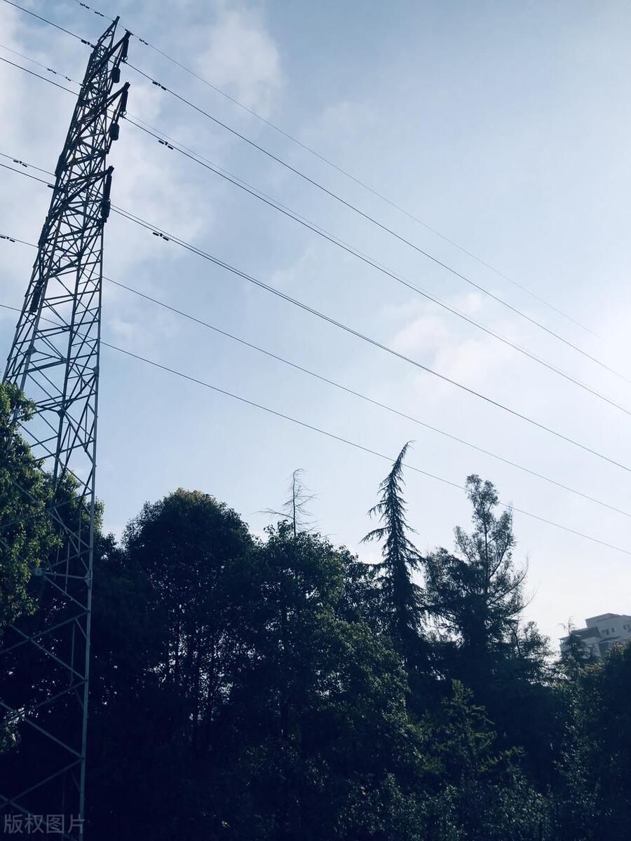 电费没了立马断电合法吗,因没交电费电力公司断电合法吗