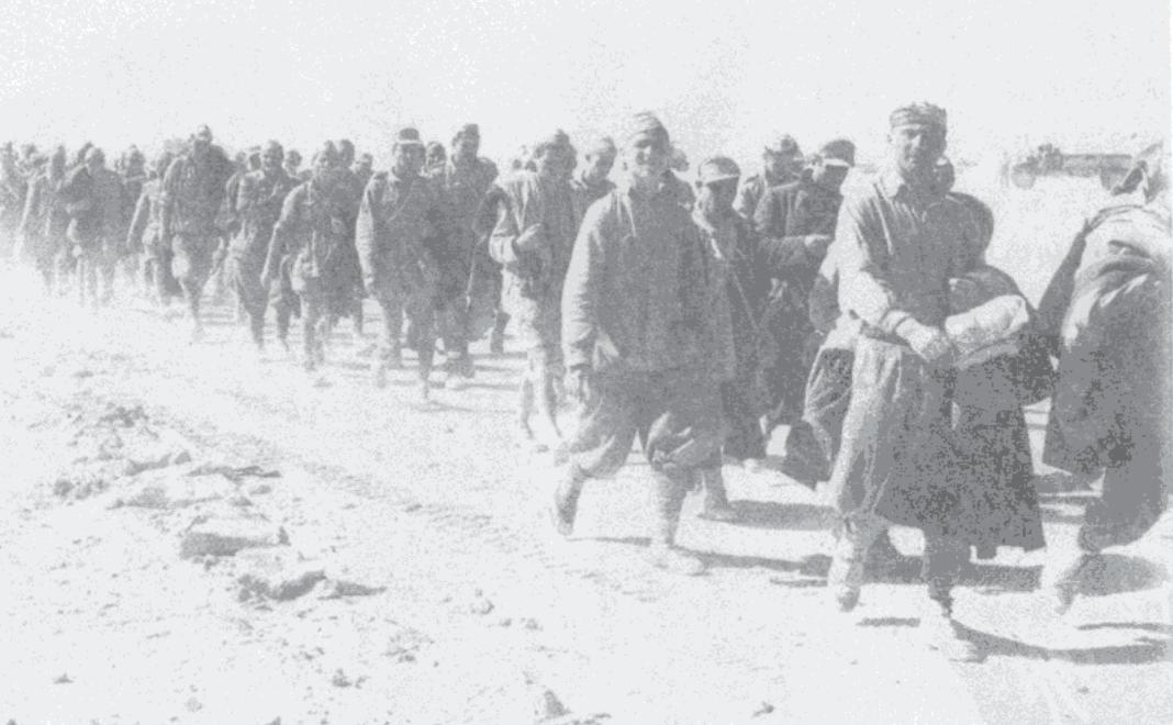 隆美尔北非大战,电影沙漠之狐隆美尔免费在线观看